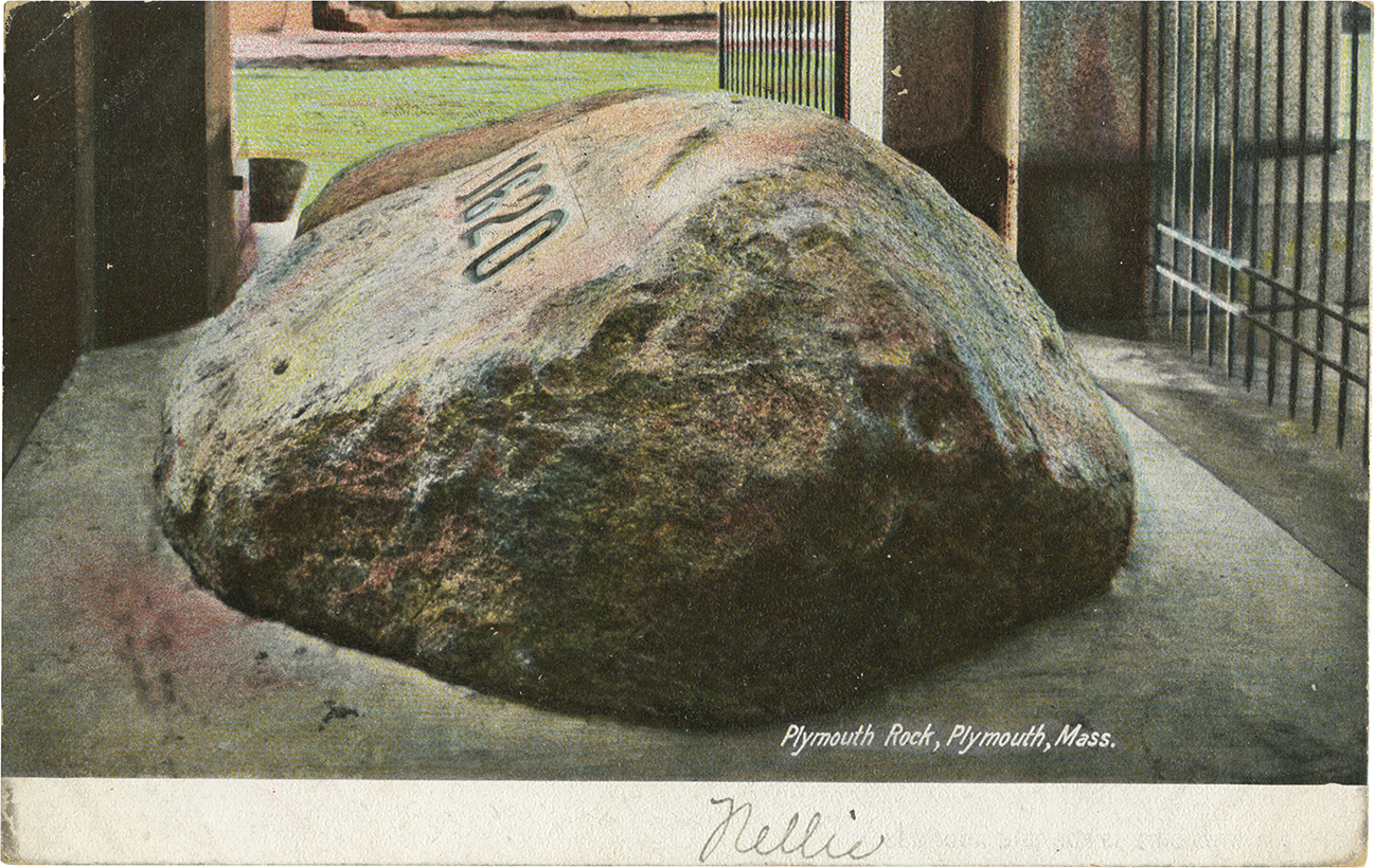 Tim Mills / MetaPlymouth Plymouth Rocks